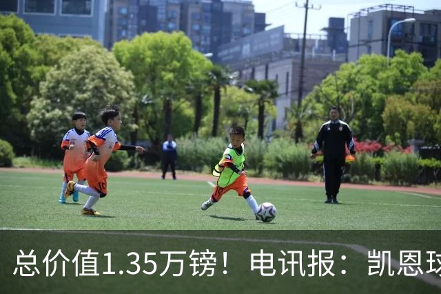 总价值1.35万镑！电讯报：凯恩球鞋被盗，还包括吉祥物和乐高积木