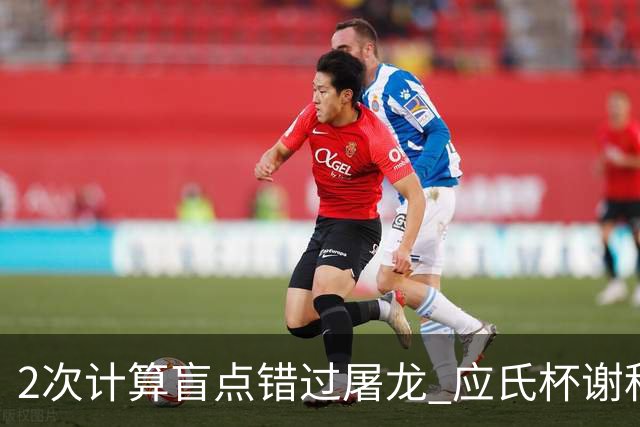 2次计算盲点错过屠龙 应氏杯谢科1点之差负一力辽